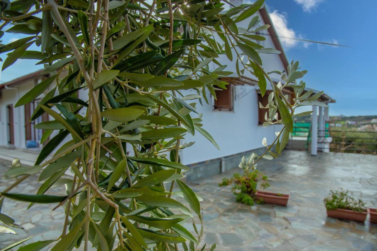 Eleonas Holiday Home Apartment Agios Stefanos Avliotes  Buitenkant foto