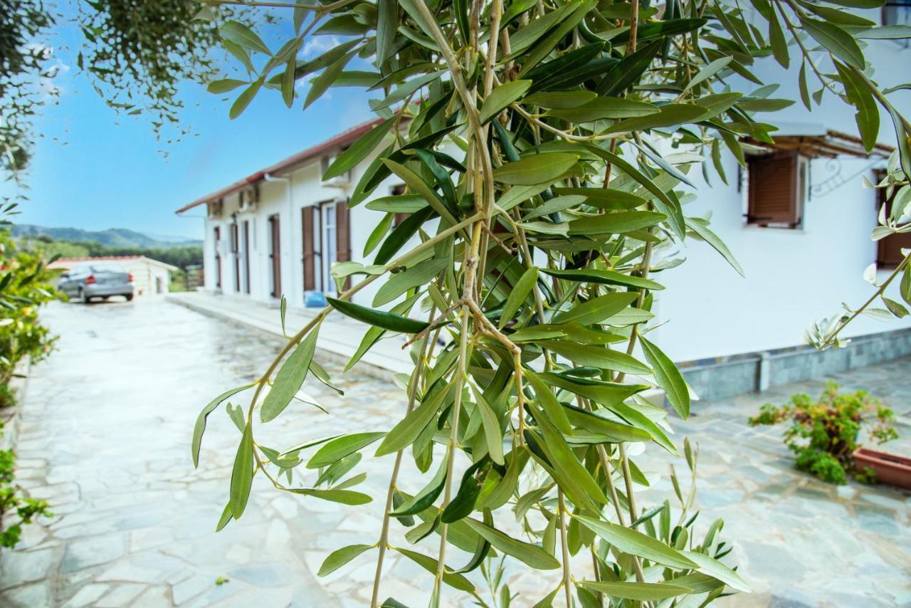 Eleonas Holiday Home Apartment Agios Stefanos Avliotes  Buitenkant foto